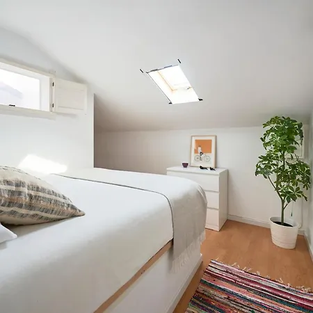 Apartment Bright W Balcony, Ac, Parking, By Timecooler *